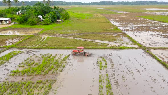 Tractor Is Plowing, Preparing the Soil for Rice Cultivation, To Make the Soil Friable, Suitable for alt