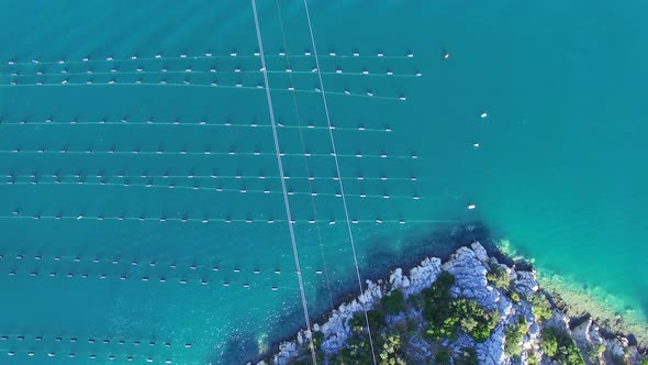Aerial view of shell farming in Croatia alt