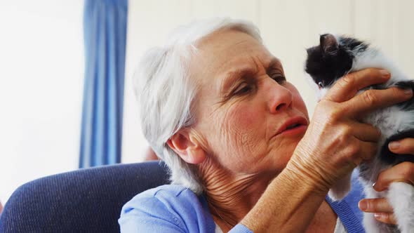 Senior women holding kitten while sitting on armchair at retirement home 4k alt