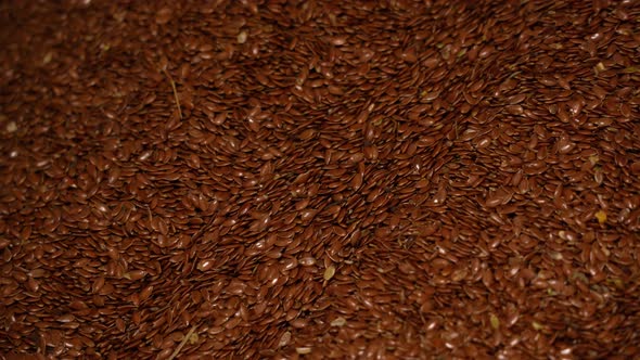 Grain flax sorting and grain cleaning alt