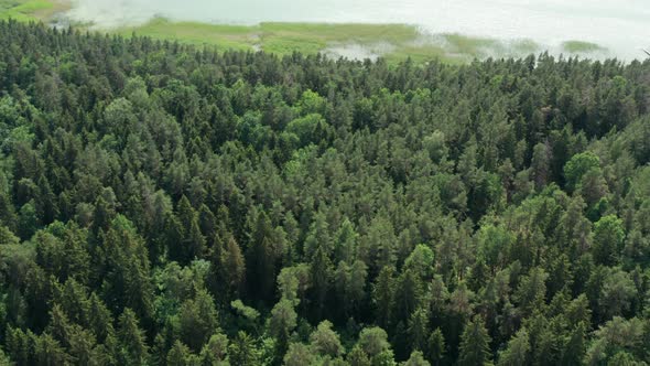 Lake & Forest Aerial alt