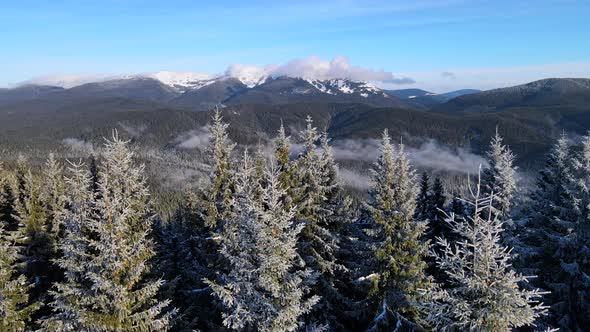 Beautiful Landscape Aerial View of Winter Carpathian Mountains Foggy Morning