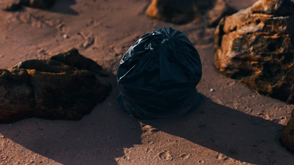 Black Plastic Garbage Bags Full of Trash on the Beach alt