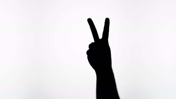 Man Showing Peace Gesture with Fingers Isolated on White Background alt
