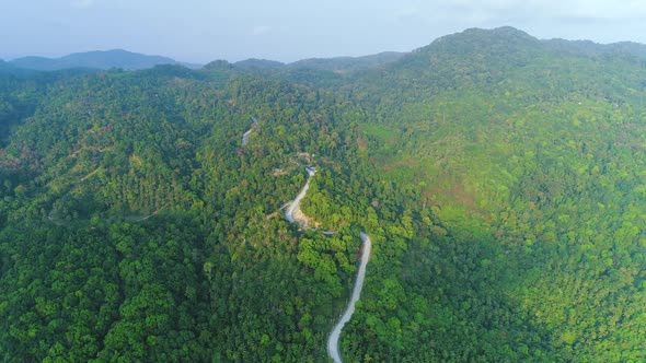 Thailand Mountains Road Aerial Rainforest with Misty Foliage on Leafy Trees of Koh Phangan Island