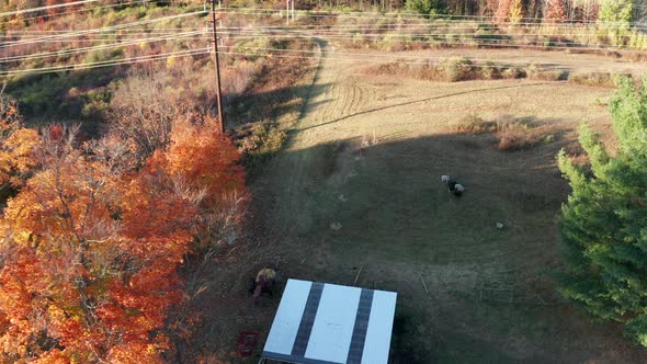 Aerial Drone Shot Flying Over Farm Pond with Fall Colors, Sheep, and Power Lines