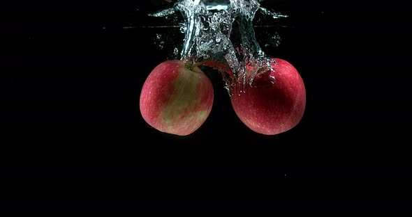 Apples, malus domestica, Fruits entering Water against Black Background, Slow Motion 4K alt