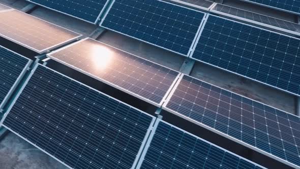 Solar panels with the sun reflecting on the surface. alt