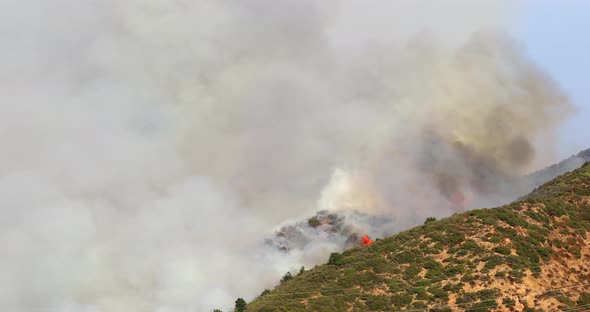 L.A. County Fire Department Helicopter Rushes To the Burning Hollywood Hills. California. USA alt