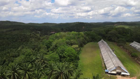 Aerial view of chicken farm house and forest in Malaysia