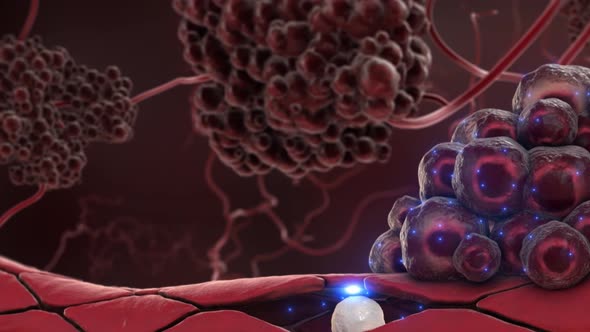 Antibody receptor that protects from cancerous cells alt