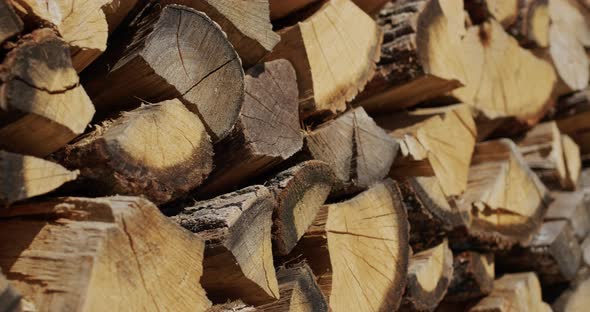 Low Angle Shot Oak Firewood is Dried in a Woodpile alt