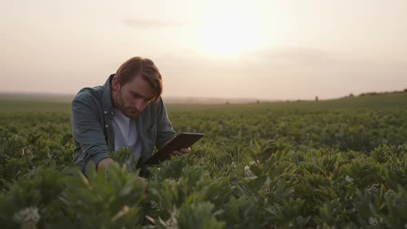 Bearded Man Sits with Black Tablet on a Field alt