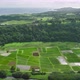 Aerial Top Down of Natural Irrigation on Green Agriculture Fields in Haena Kauai - VideoHive Item for Sale
