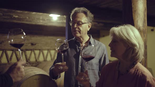 Senior couple at a wine tasting