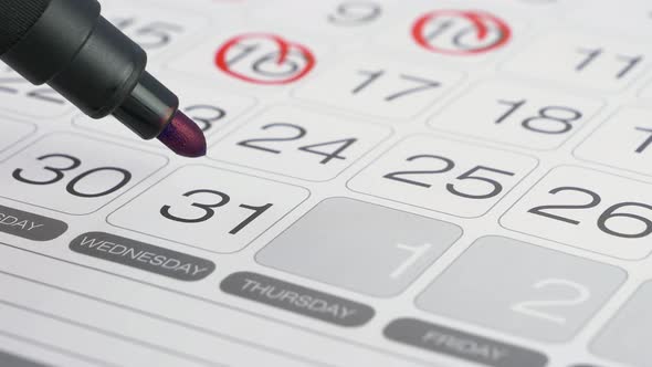 Encircling Date on Calendar with Blue Marker alt