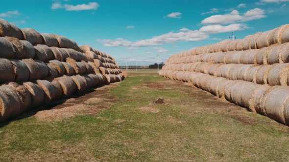 Aerial View a Hay Bales Are Stacked Large Stacks. Hay Bales Straw Storage Shed Full of Bales Hay on alt