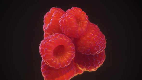 Raspberry 360 degree rotation alt