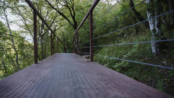 Metal bridge in the forest alt