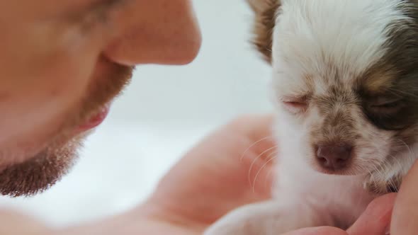 Young man playing with his puppy at home 4K 4k alt