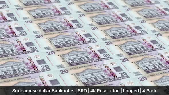 Suriname Banknotes Money / Surinamese dollar / Currency $ / SRD / 4 Pack - 4K alt