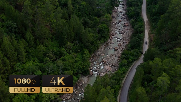 AH - Winding Road River Forest 04 alt