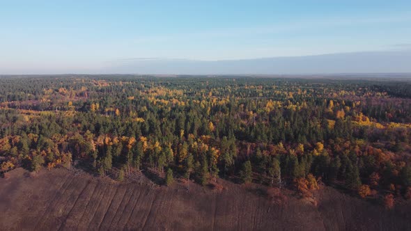 Aerial view of the forest plateau extending beyond the horizon.