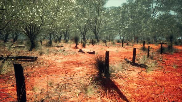 Rural Farm Boundary Fencing in Poor Condition and Long Dead Dry Grass alt
