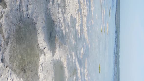 Zanzibar Tanzania  Vertical Video of Low Tide in the Ocean Near the Coast Slow Motion alt