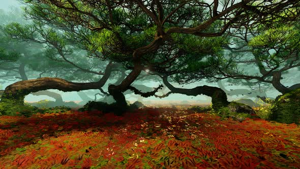 Pink Plants In The Forest alt