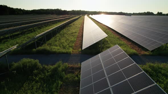Aerial View of Solar Farm on the Green Field at Sunset Time Solar Panels in Row alt