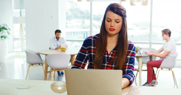 Female executive sitting at desk and using laptop alt