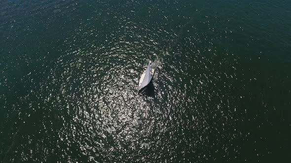 Aerial Shot of a Small Boat Moving in the Dnipro on a Sunny Day in Summer 