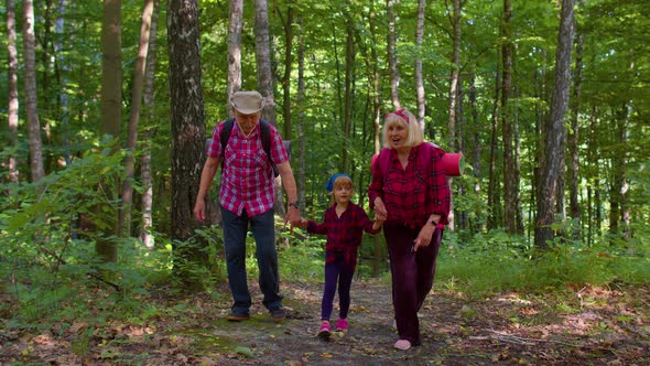 Active Senior Grandmother Grandfather Tourists Walking Hiking with Granddaughter in Summer Wood alt