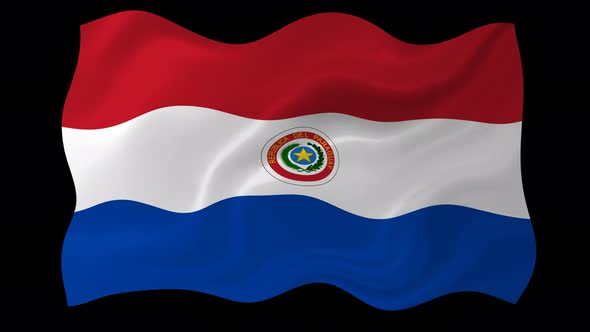 Paraguay Flag Wavy National Flag Animation