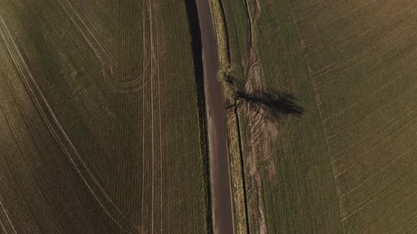 Drone Over Narrow Road And Fields