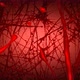 Red Biological Loop Background - VideoHive Item for Sale