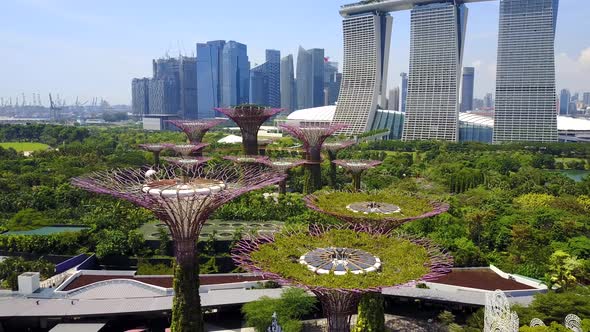 Aerial View of Supertree Grove, Gardens by the Bay, Marina Bay Sands and Financial District