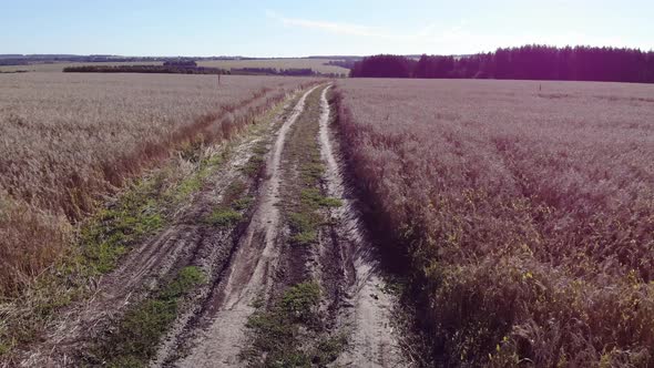 Flying Over A Dirt Road In A Field