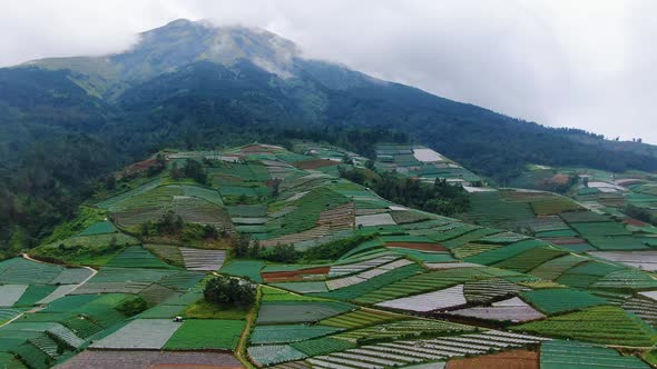 Patchwork quilt of agricultural fields on mountain slope aerial view, Indonesia alt