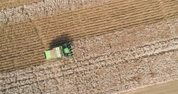 Aerial view of combine picking cotton, Kibbutz Saar, Mate Asher, Israel. alt