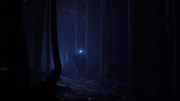 The pickaxe miner walks through the night forest. alt