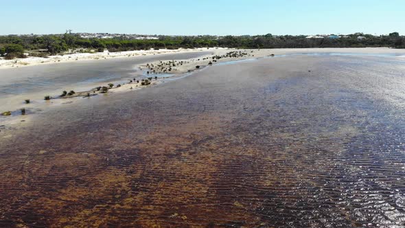Aerial View of a Lakeside in Australia alt