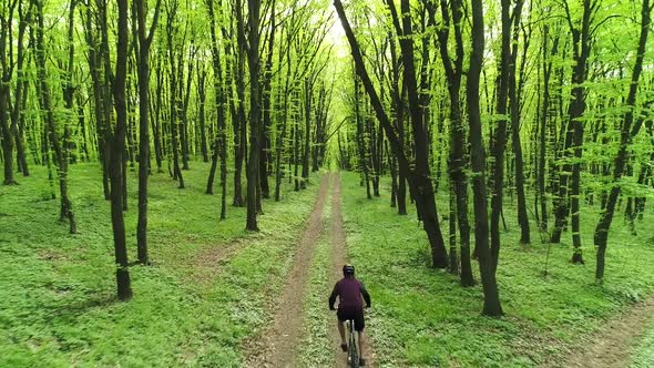 MTB Cyclist Rides Along a Forest Path