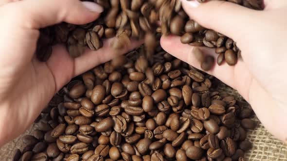 Roasted Coffee Beans Falling