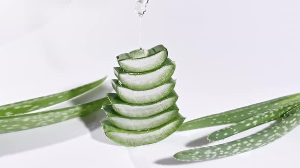 Motion of Aloe Vera Sliced Slices alt
