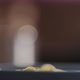 Slow Motion Add Mozzarella Balls to Pesto Fettuccine in Blue Bowl Closeup - VideoHive Item for Sale