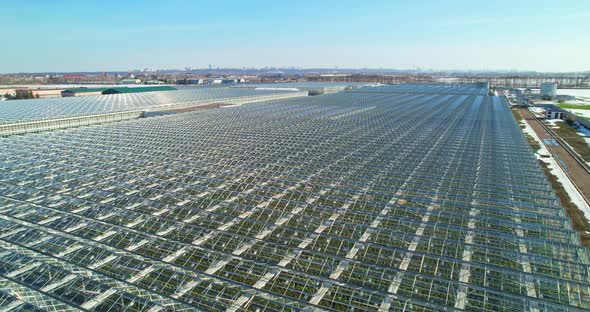 Industrial Greenhouses in Spring