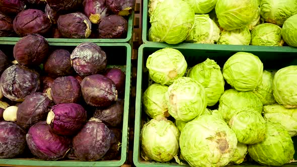 Assortment Vegetables in a Supermarket Grocery. Includes Cabbage, Celery, Broccoli. alt
