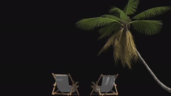 Advertising travel palm tree and deck chair on the beach on a transparent background.
